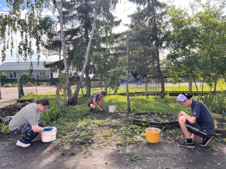 Трудоустройство несовершеннолетних.