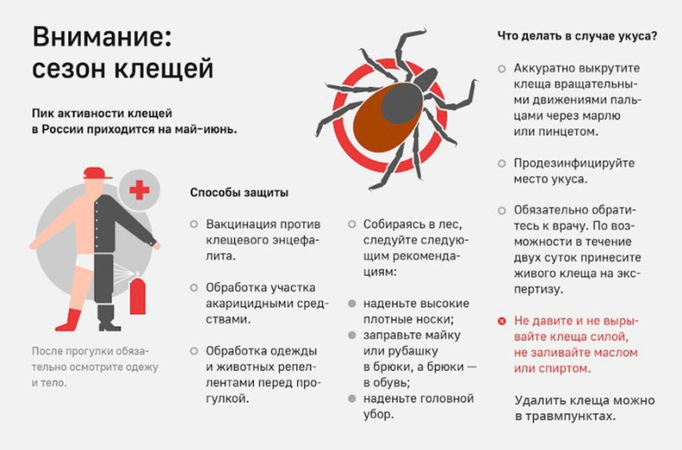Осторожно клещи.